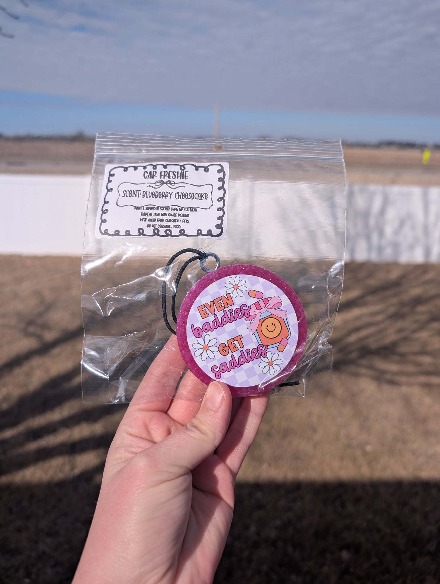 Handmade Car Freshies, Scented Car Air Fresheners, Cute Car Charms