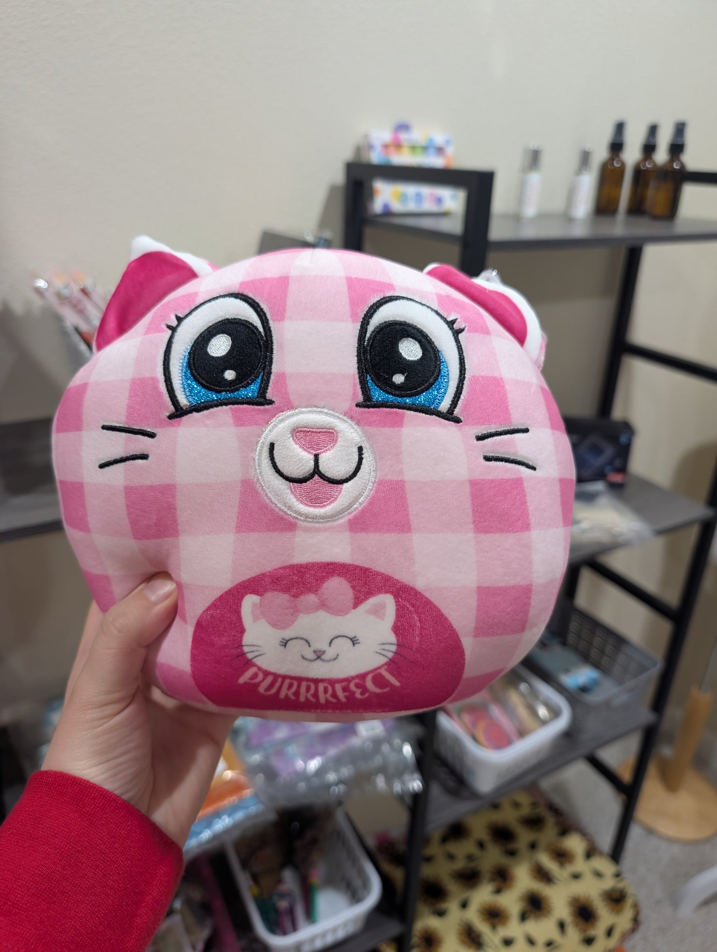 Assorted Character Plush Toys, Funny Saying Plush, Kids Gift Plush