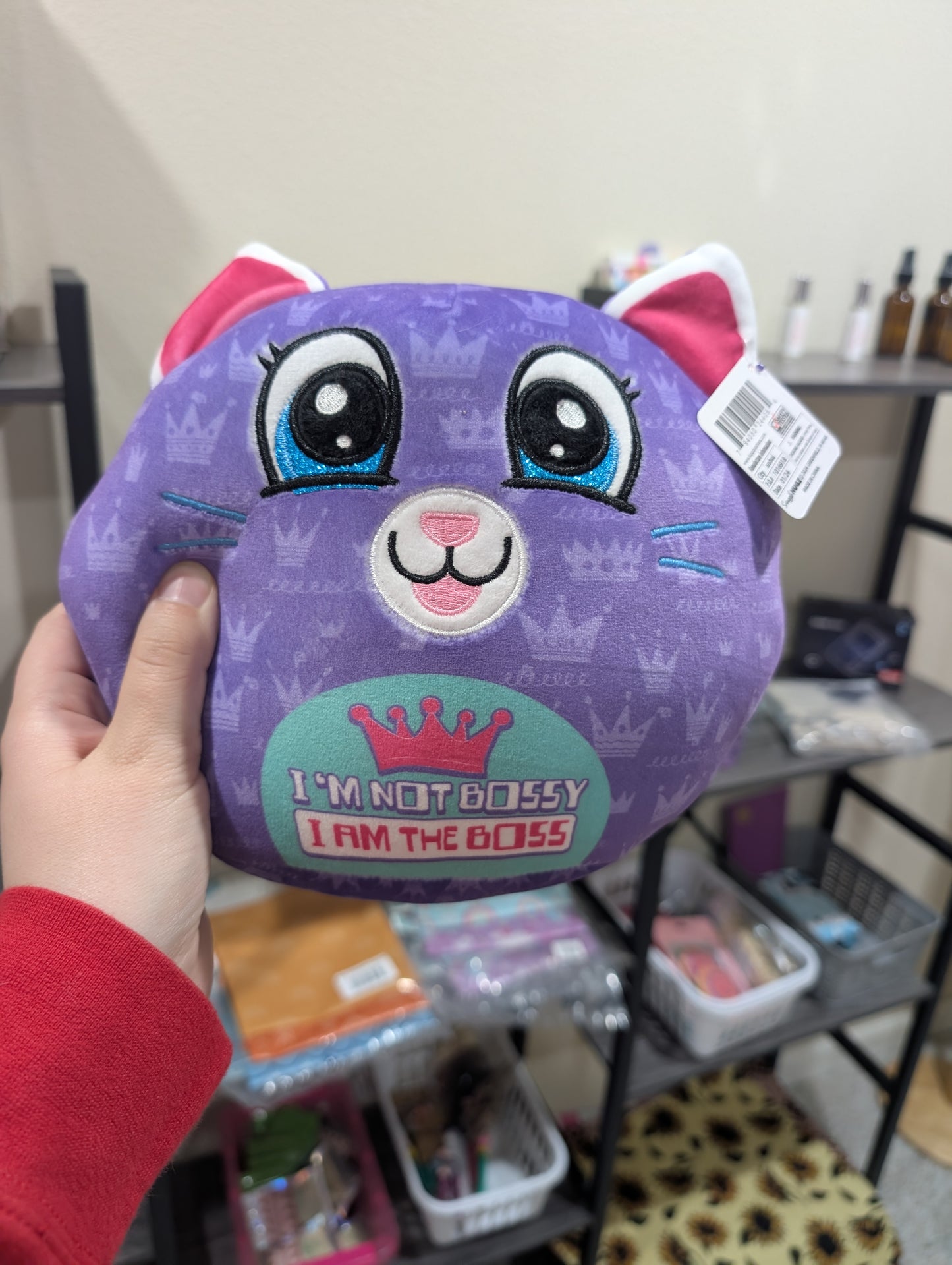 Assorted Character Plush Toys, Funny Saying Plush, Kids Gift Plush
